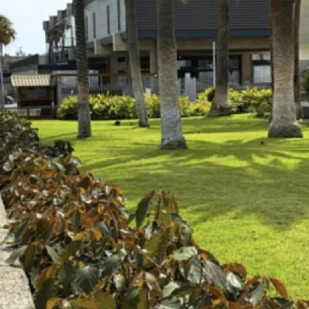 Prestige Apartment Tenerife Arona  Spain